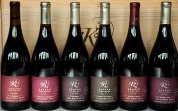 Ultimate Pinot Noir Collection Image