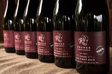 2014 Pinot Noir Whole Cluster Trial