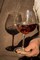 Vintner’s Table — Estate Pinot Noir Vintage Arc (12-Bottle Allocation) - View 1