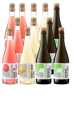 The Curated Celebrate Case