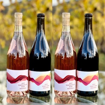 Nouveau 4-Pack — VIP (2× Pinot + 2× Rosé)