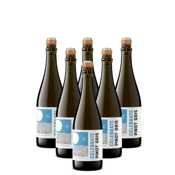 The New Year's Eve Recovery Kit (6-Bottle Pack)