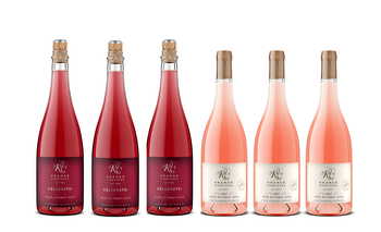 Rosé All Day