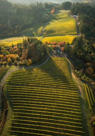 Harvest Celebration Winemaker Dinner