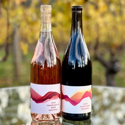 Nouveau 2-Pack — Classic Mix (Pinot + Rosé)