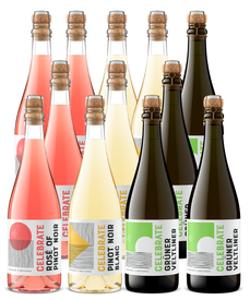 The Curated Celebrate Case