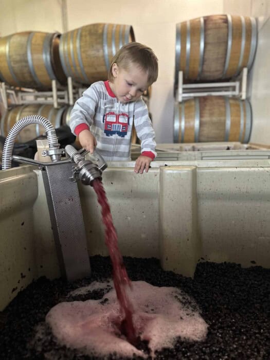 Young boy pouring red wine into a tank at Kramer Vineyards, Oregon.