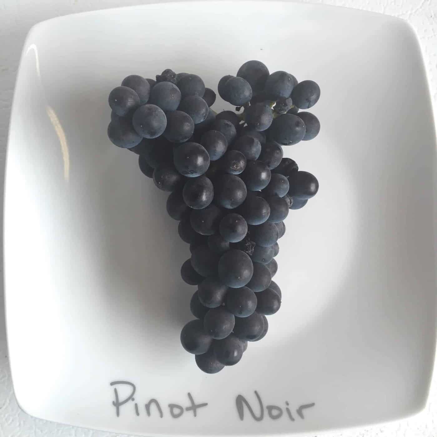 Black Pinot Noir cluster — the fruit behind Kramer's white Pinot Noir Blanc